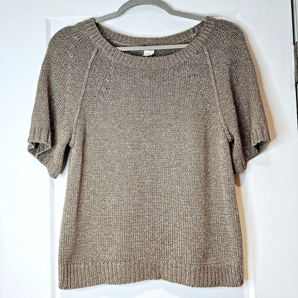 J. Crew Short Sleeve Boxy Metallic Sweater